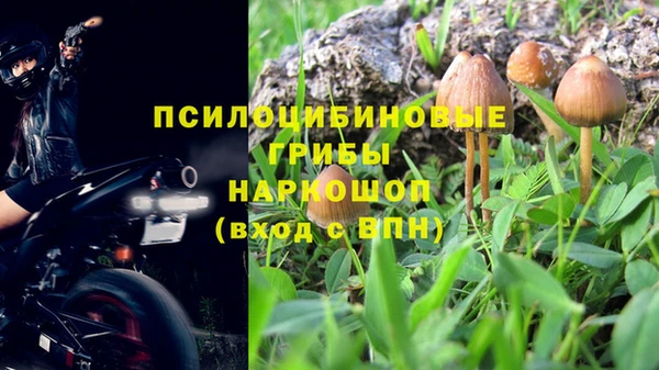 apvp Белокуриха