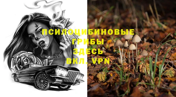 spice Беломорск