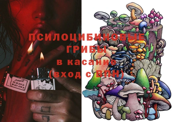 амф Богданович