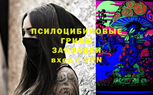 меф Богородицк