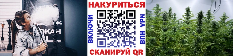 Конопля индика Беломорск